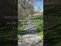 Download Lagu Jalan-jalan bermain di latar belakang YouTube