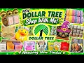 8-14-26 Weekly Dollar Tree Shop with Me New and Restocks you don t want to miss