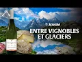 Download Lagu Le Meilleur de la Savoie : des vignobles aux glaciers | Montages françaises | Trésors du Patrimoine
