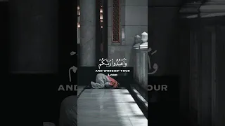 يا أيها الذين آمنوا اركعوا واسجدوا واعبدوا ربكم وافعلوا الخير لعلكم تفلحون الحج ٧٧ القرآن الكريم 