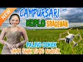 Download Lagu FULL BASS!! Campursari JAMPI SAYAH Koplo Sragenan 2025-Paling tranding cokek tenan