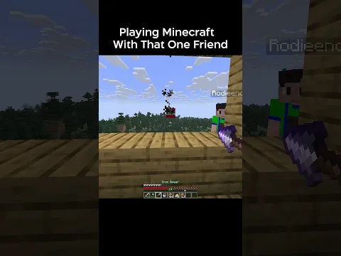 Playing Minecraft With That One Friend