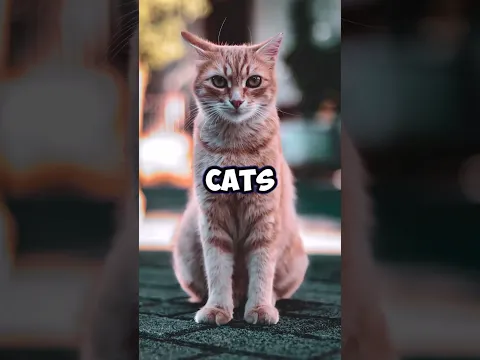 RANKING HOW DIFFICULT IT IS TO BEAT CERTAIN ANIMALS