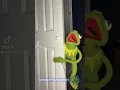 Kermit The Frog And The Spider Tiktok