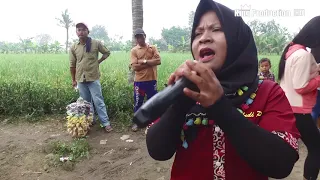 antara teman dan kasih singa dangdut andi putra live sukadana tukdana indramayu 3 juli 2017