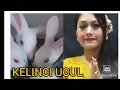 Download Lagu KELINCI UCUL