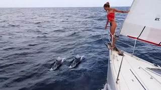 Isolated on our BENETEAU with DOLPHINS | Ep 37 | Sailing Merewether