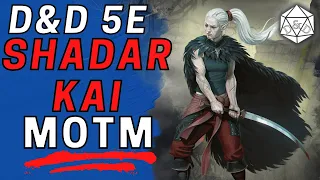A Great Race for ANY Build D D 5e Shadar-kai Update and Deep Dive