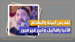 تقديس البيئة والبهائم الأنبا رافائيل وتبرير غير مبرر 