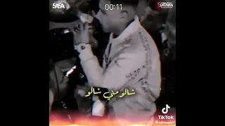 ايوه وسط لمه كلها كدب وحوران     عصام صاصا يبدع   دندنها