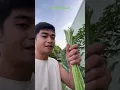 Download Lagu https://vt.tiktok.com/ZSDGDrpDV/