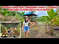 Download Lagu BELI TANAH PERTAMA KAMI DI RAJA AMPAT BONUS BANYAK POHON BUAH