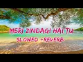 Download Lagu Meri Zindagi Hai Tu (Slowed +Reverb) | Rochak ft Jubin, Neeti | Lofi Song | New Song 2022