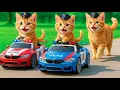 Lagu Kittens Drive Police Supercars 🚓 on a Revenge Mission to Rescue Mama Cat from a Bully💥🐱