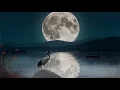 Moonlit Serenity 🌿 Eastern Zen Meditation Music for Deep Relaxation & Inner Peace
