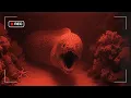 Download Lagu I Dropped A Night Vision Camera On The World's Deadliest Reef