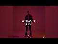 Avicii ft. Sandro Cavazza - Without You (Extended Remix)