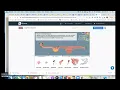 Digestive and Circulatory System Gizmos