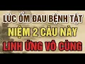 Download Lagu LÚC ỐM ĐAU BỆNH TẬT, HÃY NIỆM NGAY CÂU NÀY, LINH ỨNG VÔ CÙNG - Lời Phật Dạy