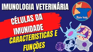 Células do sistema imune: Características e Funções - Imunologia veterinária