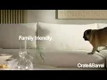 Crate Barrel Furniture Store Pug Approved Commercial Ad Creative United States 2022