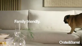 Crate Barrel Furniture Store Pug Approved Commercial Ad Creative United States 2022