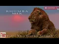 Download Lagu RHUMBA MIX,BEST OF RHUMBA MIX,DJ.BONEYE