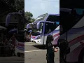 telolet bus pariwisata ramayana di keramaian karnaval #short #teloletbus #ramayana #karnavalngipik