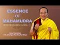 Download Lagu Essence of Mahamudra || Guru Vajradhara HH the 12th Chamgon Kenting Tai Situpa