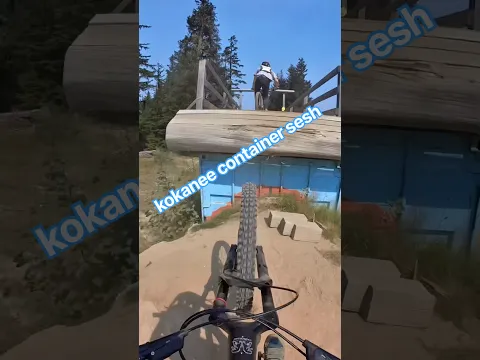 freight train kokanee container