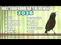Download Lagu MASTERAN KONIN MATERI TERBARU 2026 FULL TEMBAKAN MEWAH TAJAM NYARING