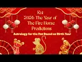 Rat Predictions Horoscope For 2026 By Year