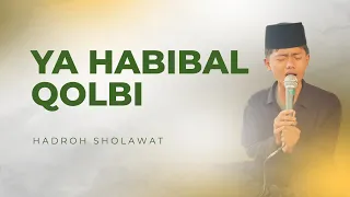 ya habibal qolbi hadrah sholawat merdu versi viral tiktok
