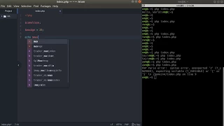 PHP Tutorial Variables