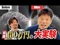 【検証】幾重は本当に髪に優しいのか【井口智明】