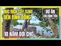 Ruc Rich CAY SUNG BEN BINH DONG Cau Binh Tien 10 Nam Doi Cho Quan 8 Sai Gon Ngay Nay