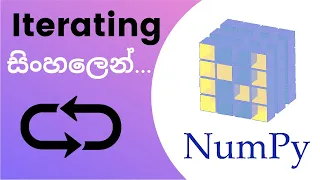 Python Numpy Tutorial - 07 Iterating Sinhala