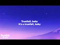 P!NK - TRUSTFALL (Lyrics)