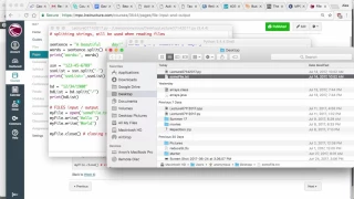 Python File IO