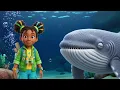 How Whales Use BUBBLES to Sleep Scoop4Kids
