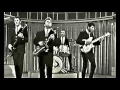 Download Lagu Lies Knickerbockers RESTORED Video TRUE 1965 STEREO HiQ Hybrid JARichardsFilm
