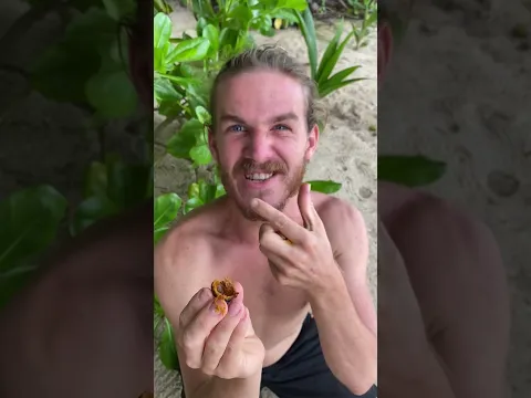 The Fruit That Looks Like It Came From a Dream