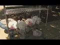 LCPS meal site runs out of food on the second day highlighting heightened demand for meal assistanc