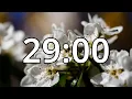 29 Minutes Timer with Music Spring Timer
