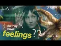 Which animals are sentient