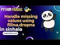Python Pandas Tutorial 4 Handle Missing Data using fillna dropna