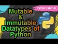 What Are Mutable Immutable Datatypes In Python Explained With Examples Python Programming