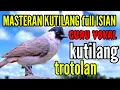 Download Lagu masteran kutilang gacor full isian mewah || guru vokal kutilang trotolan