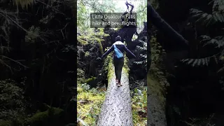Hiking at Little Qualicum Falls #qualicumbeach #vancouverisland #hikingadventures