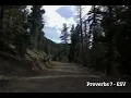 Radio Bible - Proverbs 7